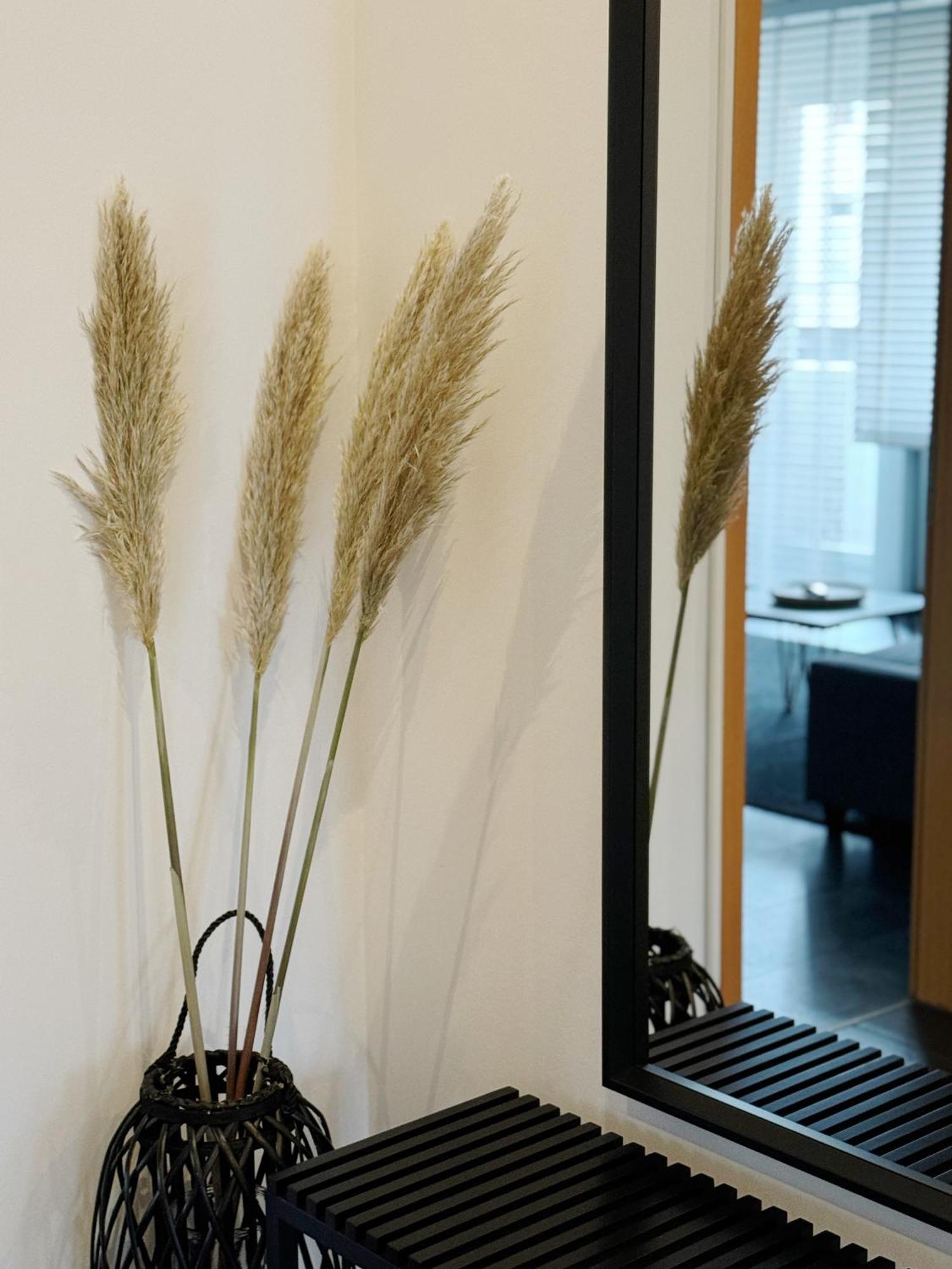 90M2 I Central I Netflix I Wifi I Free Parking I Lia Apartments هانوفر المظهر الخارجي الصورة